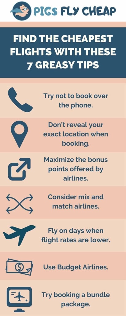 find the cheapest flights - infographic
