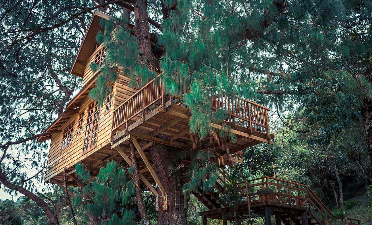 best treehouse on airbnb