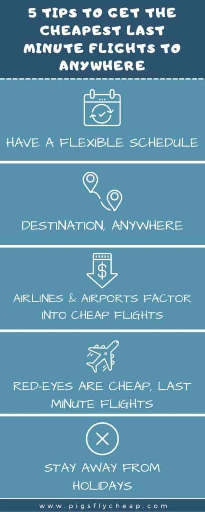find cheap flights to anywhere - info