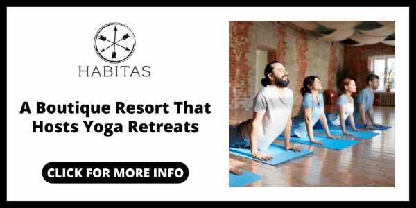 Best Yoga Retreats in Tulum - Habitas Tulum