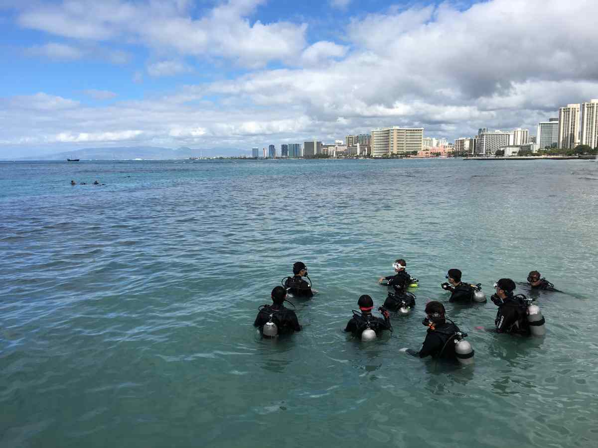 best dive shops in hawaii