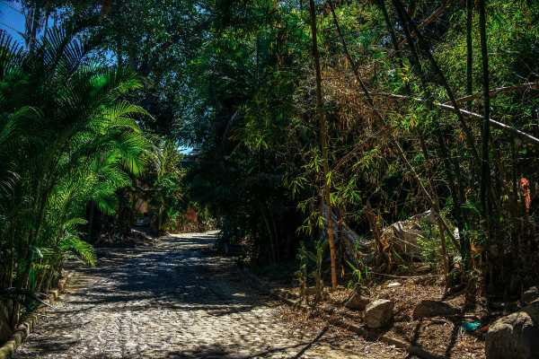 cheap flights to sayulita - Jungle Canopy Tours