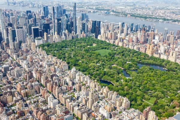Central Park - Things to do in New York
