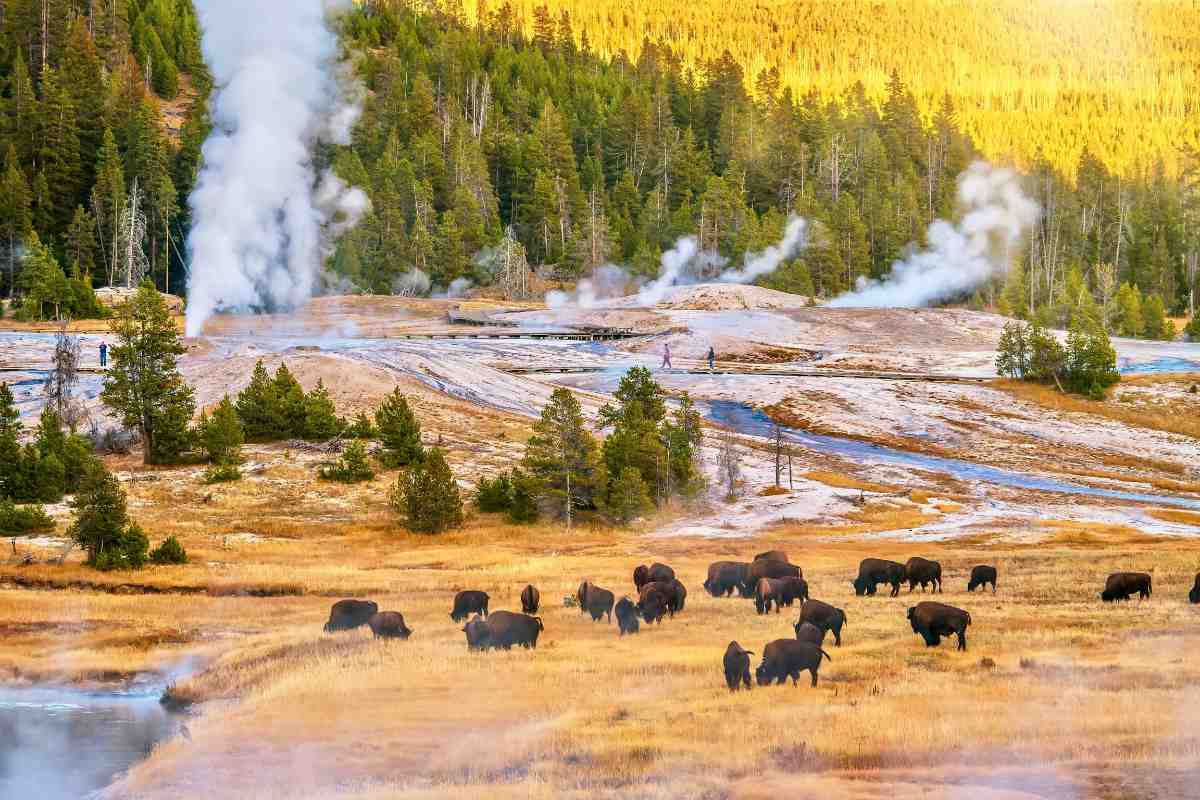 Guide to Visiting West Yellowstone