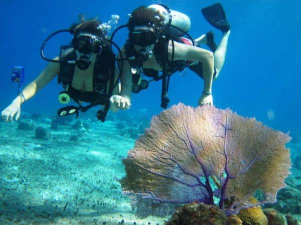 Miami Scuba Diver - Dive Shops in Miami