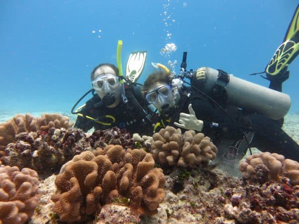 Kauai Down Under Dive Team - Dive Shops in Hawaii