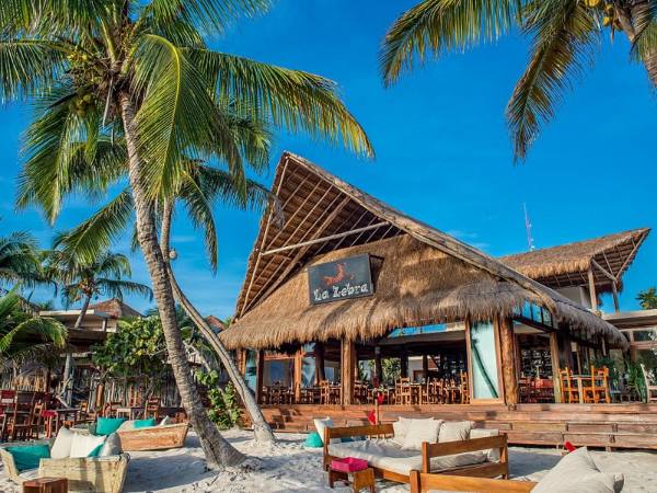 La Zebra - Fine Dining Restaurants in Tulum