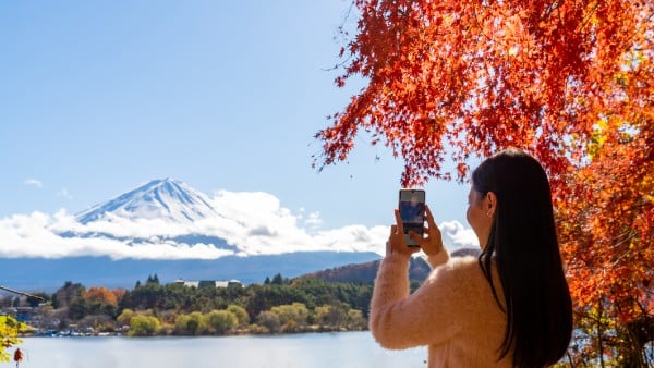 Mt. Fuji, Lake Ashi and Bullet Train Day Trip from Tokyo - Guided Tours in Tokyo Japan