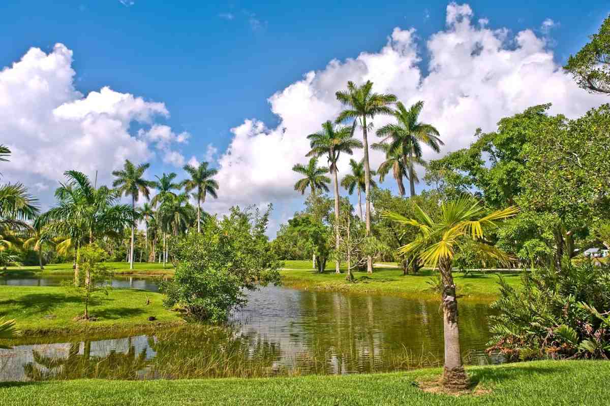 Nature Parks to Discover Near Miami