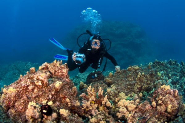 Oahu Diving - Dive Shops in Hawaii