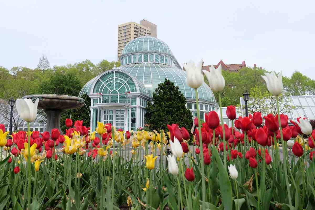 Visit the New York Botanical Gardens