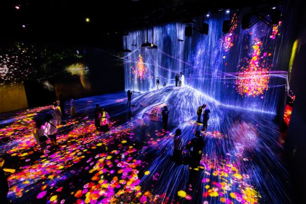 Visit the teamLab Borderless Digital Art Museum - Things to Do in Tokyo