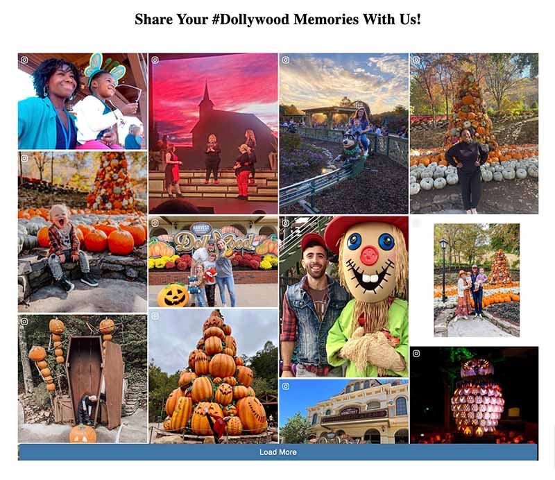 Dollywood Instagram Share