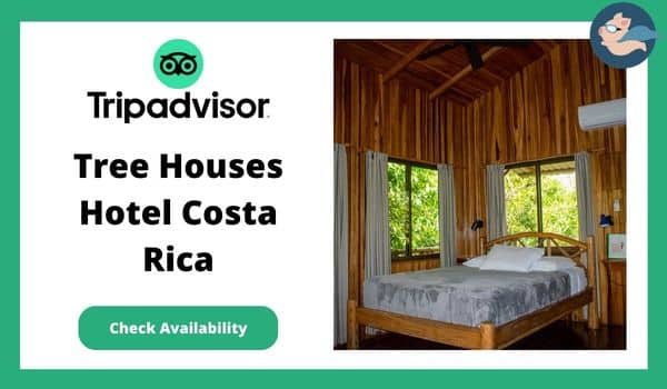 Eco Lodges In Costa Rica - Costa Rica Tree House Lodge