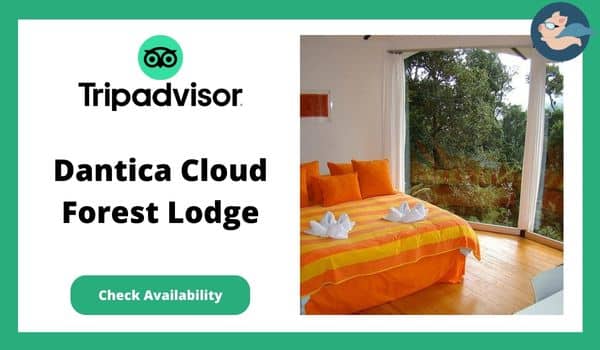 Eco Lodges In Costa Rica - Dantica Cloud Forest Lodge