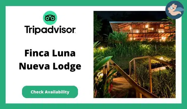 Eco Lodges In Costa Rica - Finca Luna Nueva