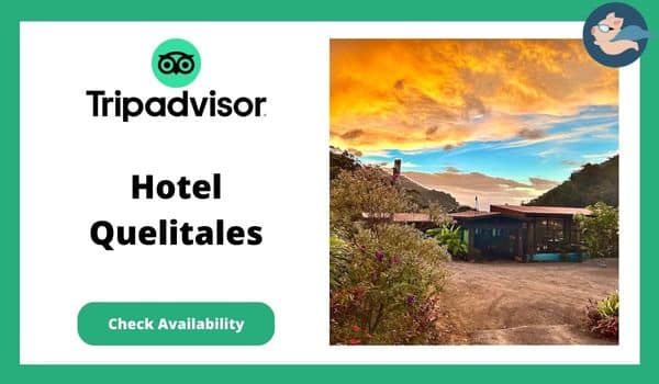 Eco Lodges In Costa Rica - Hotel Quelitales