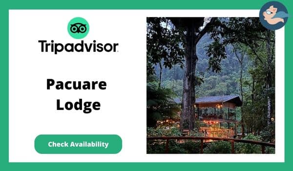 Eco Lodges In Costa Rica - Pacuare Lodge