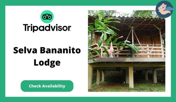 Eco Lodges In Costa Rica - Selva Bananito Lodge and Preserve