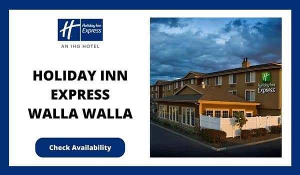 best pet friendly hotels walla walla - Holiday Inn Express Walla Walla