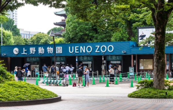 Best Places to Visit in Tokyo - Ueno Park and Ueno Zoo
